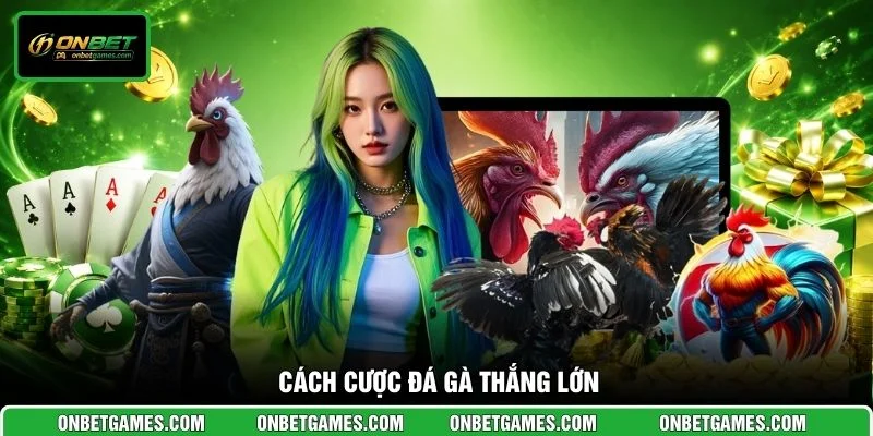 Cách cược đá gà thắng lớn