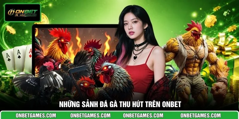 Những sảnh đá gà thu hút trên ONBET